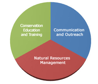 Pie Chart